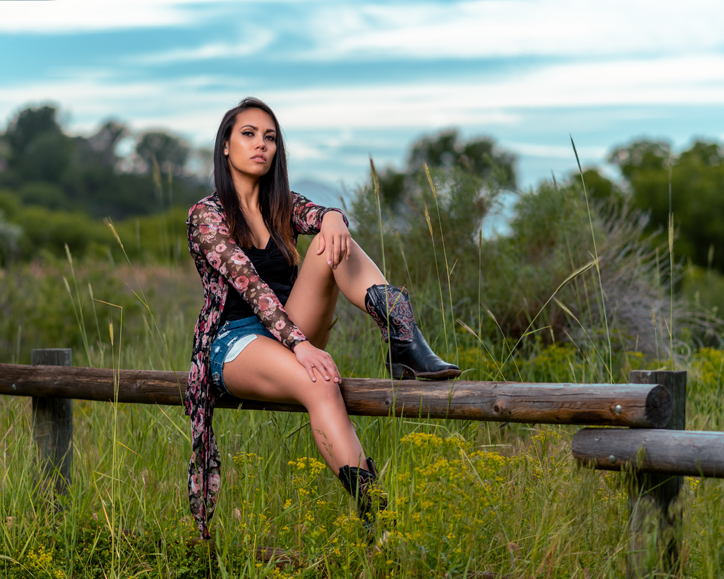 Sitting on a fence